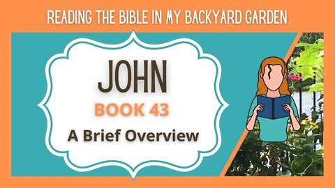 John - A Brief Overview | NRSV Bible