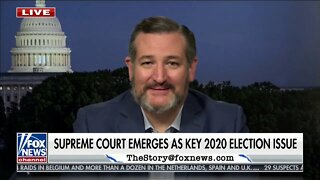 Cruz on Fox: The Biden Agenda Is Driven by The Far Left