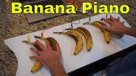 Making a Singing House Plant and a Banana Piano