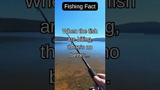 Fishing Facts #shorts #fishing #fishingfanatics