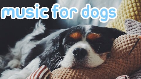 12 hour dog calming music sleep - black screen - with sounds for dogs