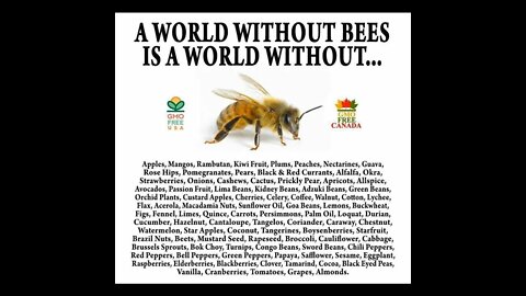 A World without Bees