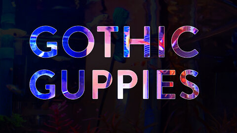 Gothic Guppies