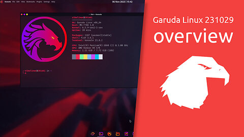 Garuda Linux 231029 overview | performance & beauty.