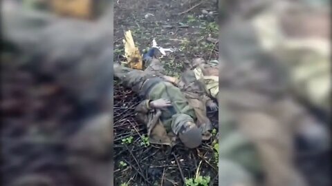 LPR Fighter Scold The Dead Ukrainians