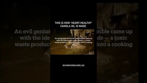 Así es como el aceite canola es hecho . #canolaoil #vegetal #viral #salud