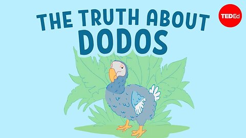 The real reason dodo birds went extinct