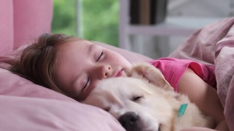 Close up portrait of adorable preadolescent girl calmly sleeping with sweet golden retriever pet in