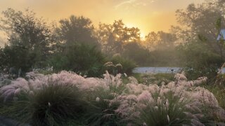 Beautiful View- Calming atmosphere