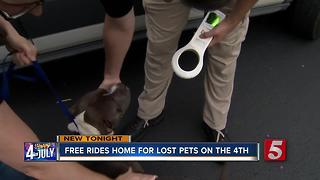 MACC Gives Safe, Free Rides Home For Lost Pets On 4th Of July