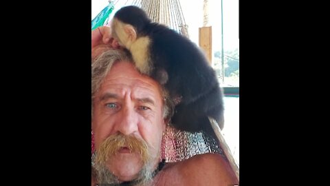 Monkey love is tough love