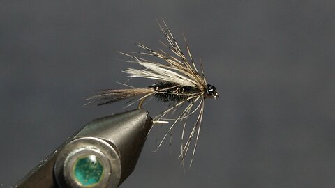 Caddisfly Emerger (Fling & Puterbaugh 7/30)