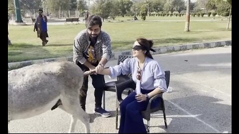 This girl put her hand in the donkey