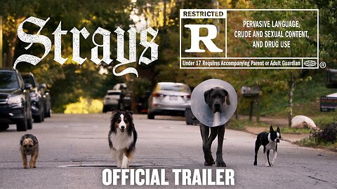 Strays | Official F***ing Trailer [HD]