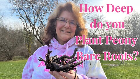 Peony Planting Guide: How Deep to Plant Peony Bare Root