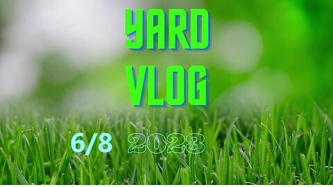 Yard Vlog 6/8/23
