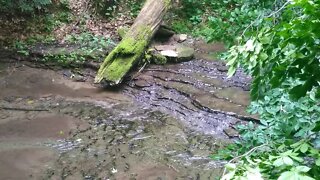 Waterfall on Trail at Mohican State Park Ohio