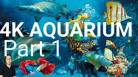 Busan South Korea Aquarium 🇰🇷 || HD Fish || Relaxation Video|| Adnan in korea