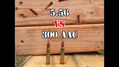 300 AAC Blackout vs 5.56... Wood Test
