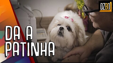 BRINCANDO DE CONVERSAR COM MEU CACHORRO - Da a Patinha Lilly