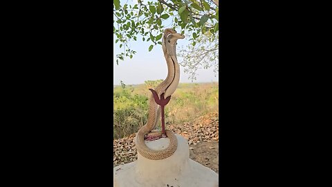 Two Snakes 🐍 in Mandir 🛕
