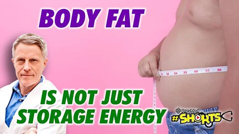 #SHORTS Body Fat is not just Storage Energy