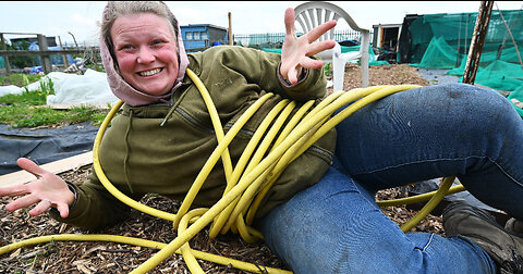 Transform Your Allotment: Easy Metal Edging Installation to Keep Woodchips in Place! Gardening