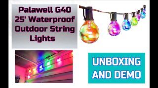 My Outdoor Light Setup! Works Great Palawell G40 Outdoor Dimming Lights