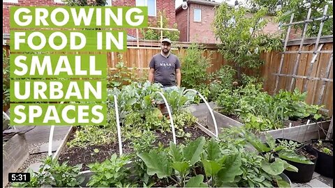 Growing Food in Urban Small Spaces - Urban Gardening