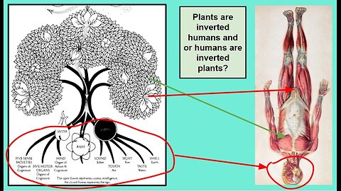Personal Alkemy Course Classes 5-7 November 29 2023 Plants Human Earth Soil Relationships