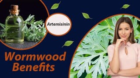 Wormwood Benefits