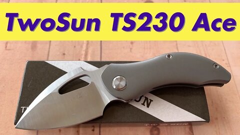 TwoSun TS230 Ace Vincent Oliver design /includes disassembly/ Ace is high on my list !!