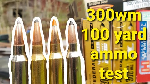 300 Win Mag - 100 Yard Ammo Test