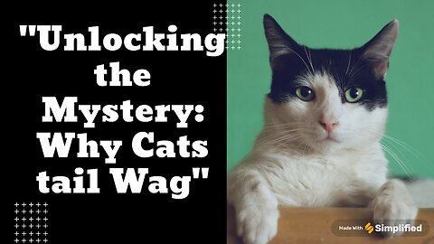 Feline flicks : Why cats wag their tails?
