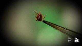 Lyme Disease advocate encourages residents to protect themselves from ticks