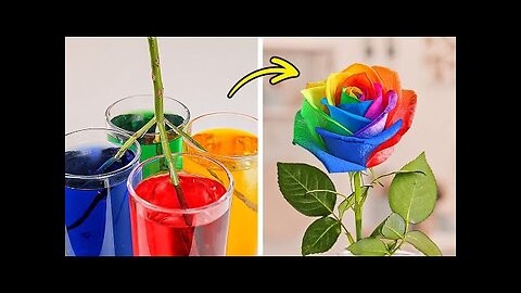 Life in Full Color: New Coloring Ideas and Easy Art Hacks for Beginners 🌈✨