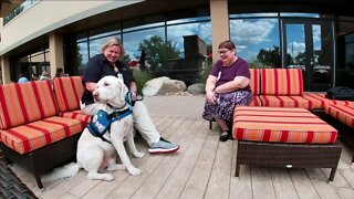 Therapy dog team helps create program providing pet care for hospital patients