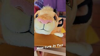 Disney's Animal Kingdom | New Simba Hat