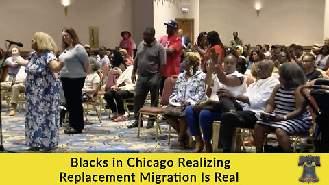 Blacks in Chicago Realizing Replacement Migration Is Real