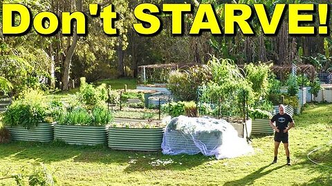 6 CROPS TO GROW AT HOME TO SAVE YOU FROM STARVING [2022-08-31]