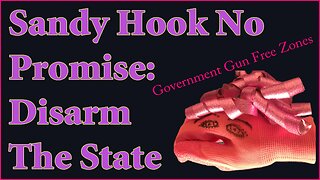 Youtube Commercial: Sandy Hook No Promise: Disarm All Government