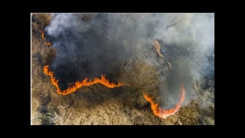 Incêndios na Sibéria são maiores que todos os outros incêndios do mundo somados - Washington Post