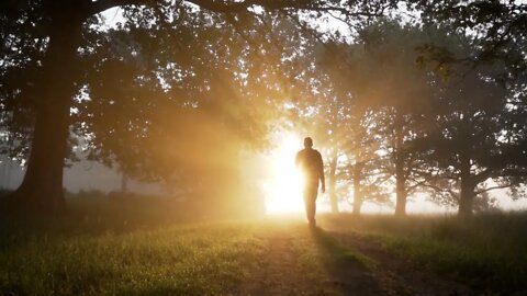 People Walking Jogging Beach Free to use stock footage No Copyright Videos