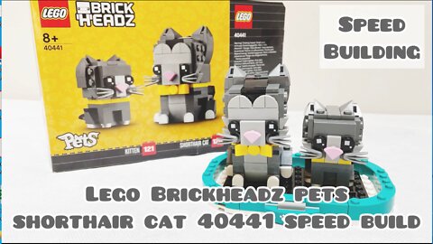 LEGO Brickheadz Pets Shorthair Cat and Kitten 40441 Speed Build ASMR | Lego ASMR | Lego Speed Build