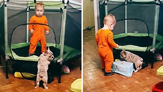 Adorable Baby Helps His Frenchie Buddy To Climb On A Trampoline