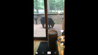 Big black bear moseying around on the front deck