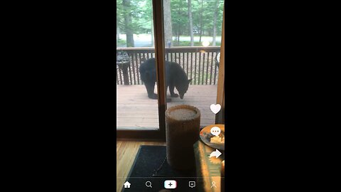Big black bear moseying around on the front deck