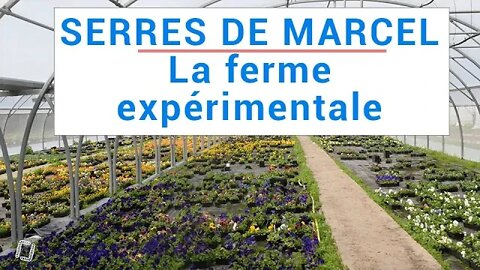 Serres de Marcel, la ferme expérimentale de Ver de Terre Production