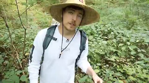 Mai Ek Rain Forest Me 24 Ghante Jinda Raha //Hindi// MrBeast