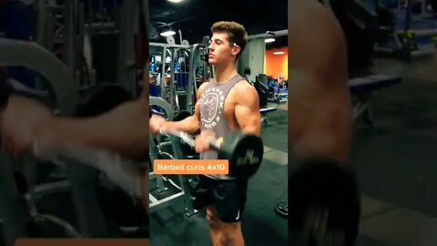 BACK AND BICEP WORKOUT #shorts #backworkout #bicepsworkout